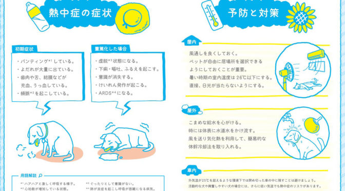 飼い主さんが知っておこう。「イヌ・ネコの熱中症予防対策マニュアル」を日本気象協会が啓発。